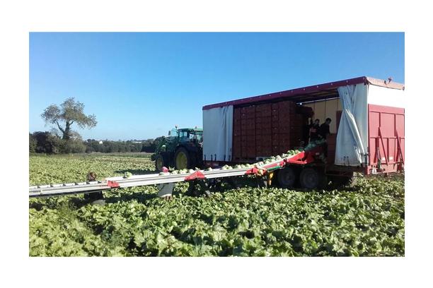 "LA BRETONNE" Vegetable Trailer