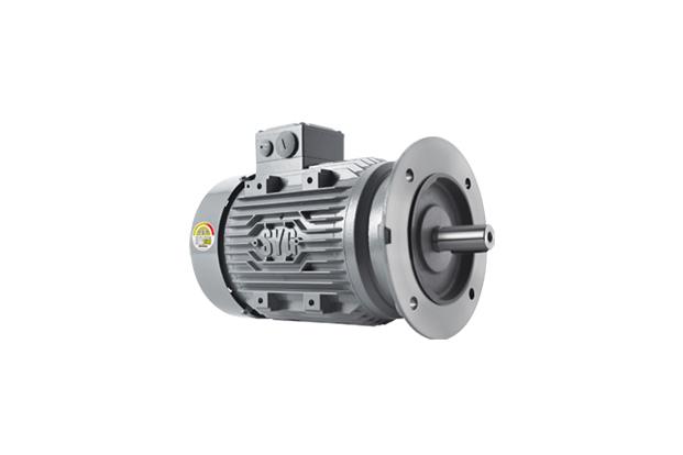Samyang Motor (SK Series)