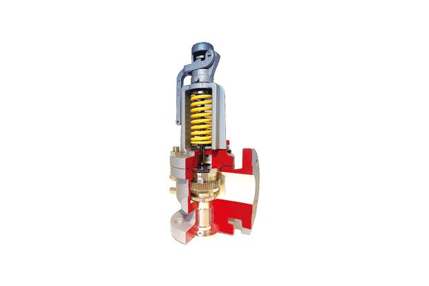 Safety Valve
