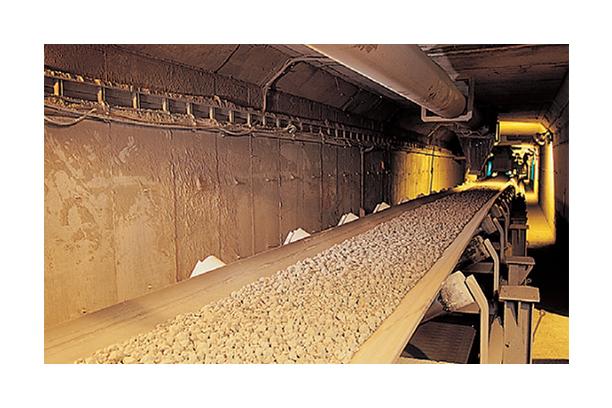 Heat Resistant Conveyor Belt
