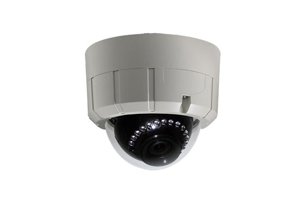 IP Camera (DOME)