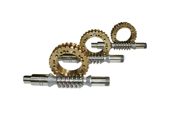 Dual Lead Worm