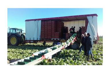 "LA BRETONNE" Vegetable Trailer