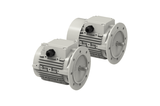PM motor