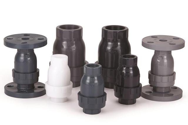 Check & Foot Valve