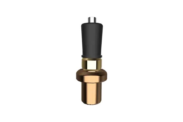 Vernet Thermostatic Element