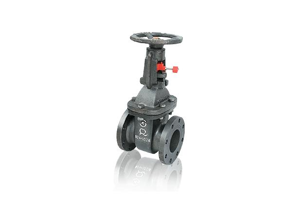 Flanged Out Side Gate Valves (S/W)