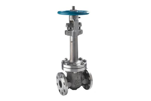 Cryogenic Valves
