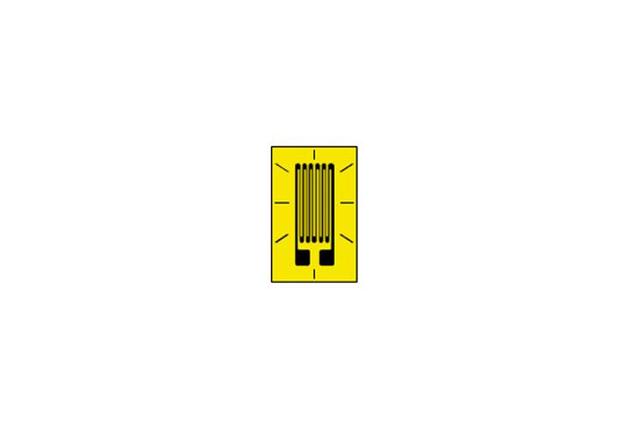 Strain Gage