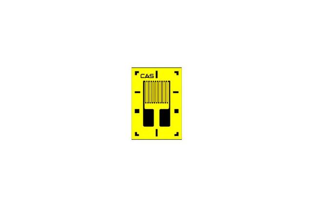 Strain Gage
