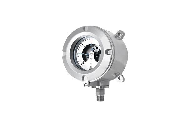 Explosion proof type indicating pressure switch (100 mm)_