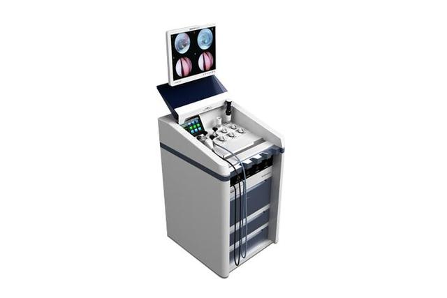 ENT Endoscopic System