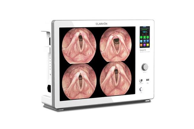 All in One Endoscopic System