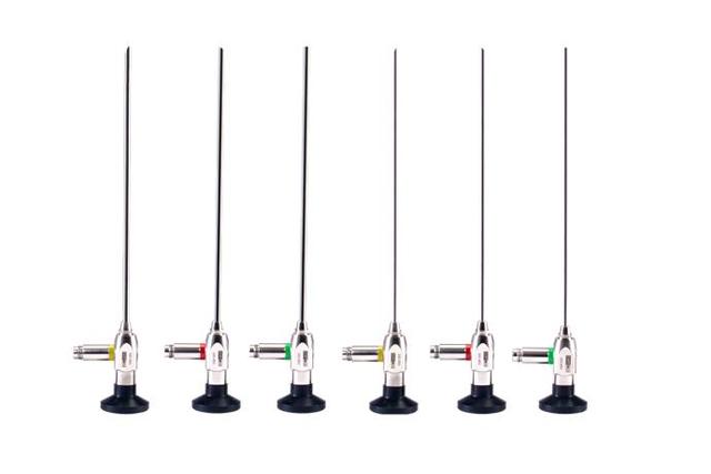 Endoscopic System