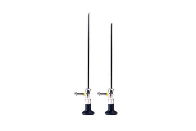 Endoscopic System