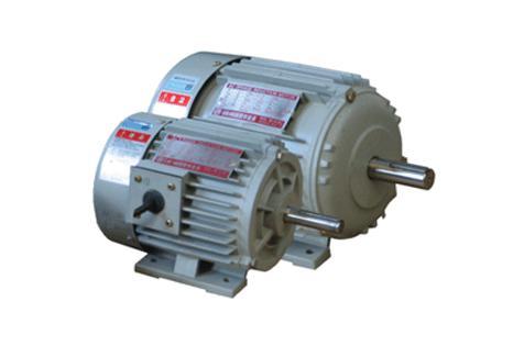 Three Phase Totally Enclosed Inverter Motor