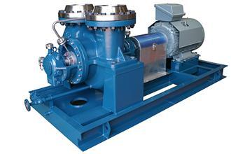 Radial Split Between Bearing Pump