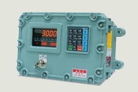 Explosion proof indicator