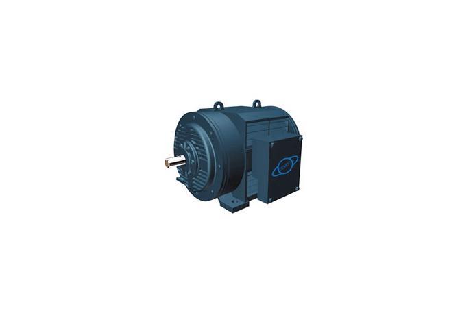 Squirrel cage drip proof (flange type)