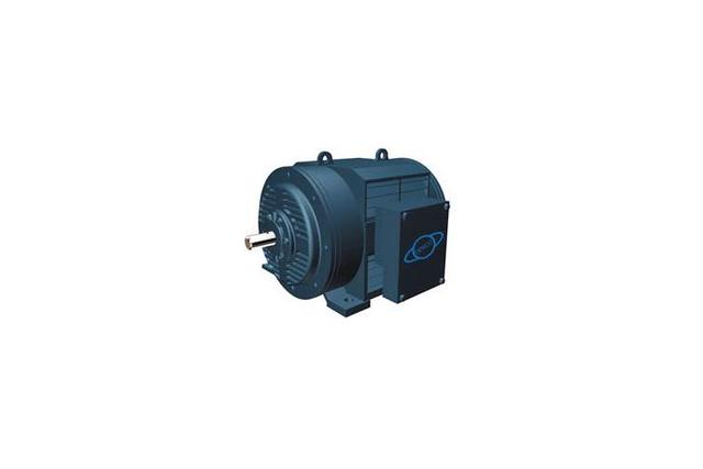 Squirrel cage drip proof (flange type)
