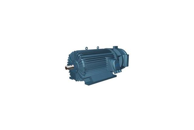 Wound Rotor Type Motor