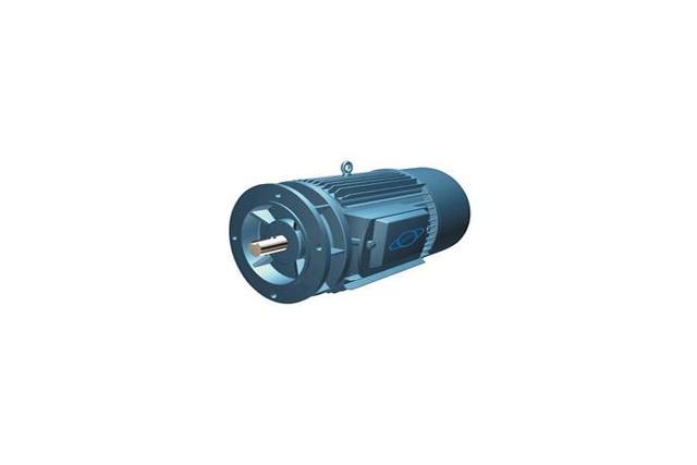 3 Pole Change Motor