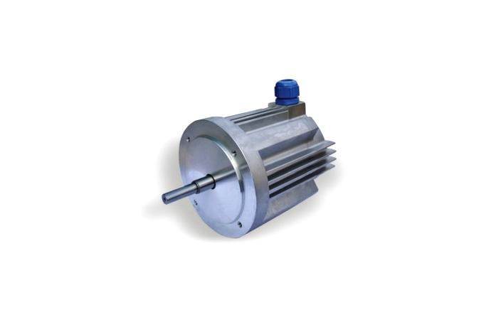 BLDC Motor (Explosion-Proof type)
