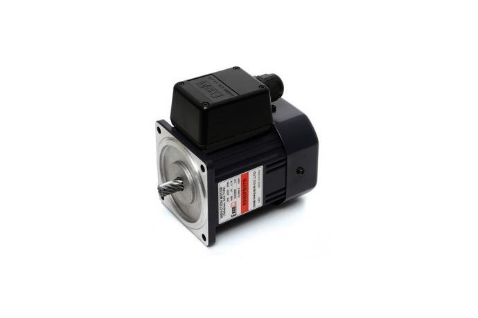 Terminal Box Type Induction Motor (60W, 1/12.5 HP)