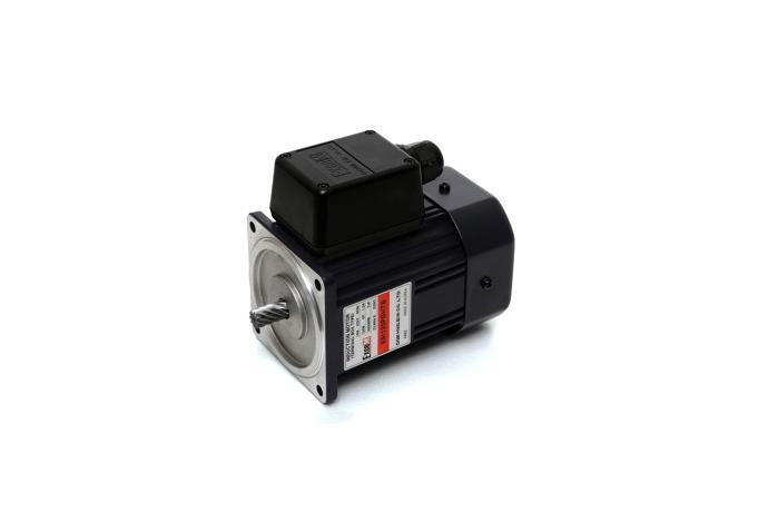 Terminal Box Type Induction Motor (120W, 1/6 HP)