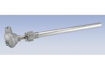 RTD Sensor