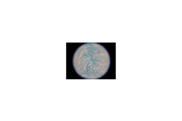 Reagent, AFB