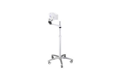 Vein Light