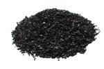 Activity Carbon