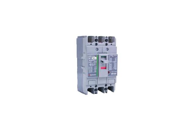 Molded Case Circuit Breakers (Economic Type)