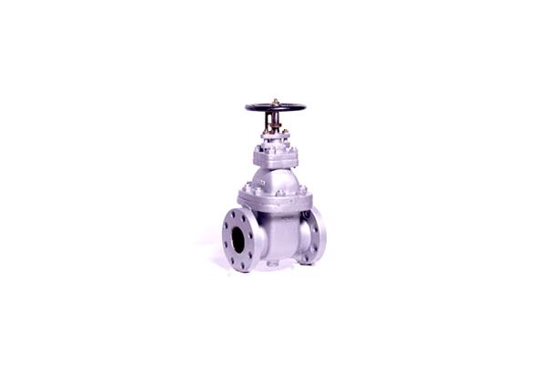Gate Valve (Bronze)