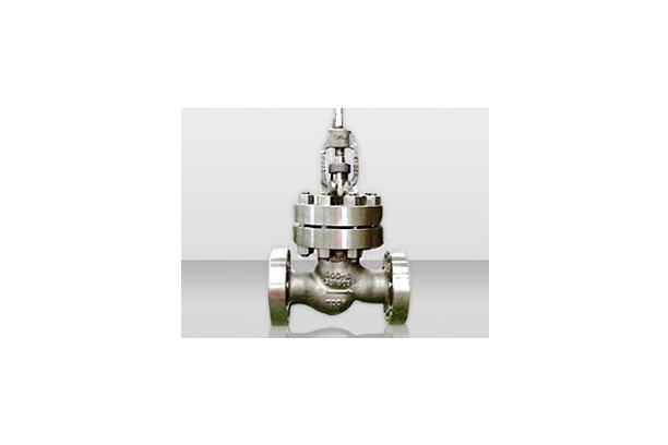 Globe Valve