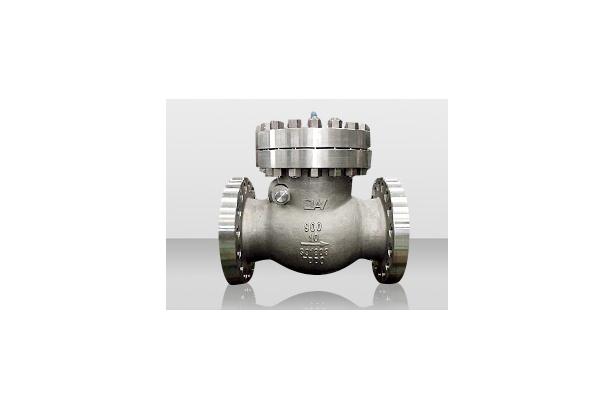 Swing Check Valve