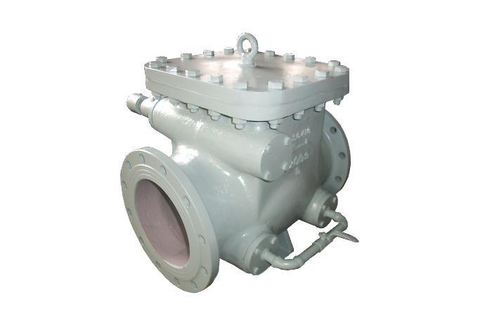 Check Valves