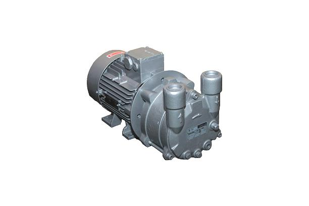 Sealed Vacuum Pump (DWV Series)