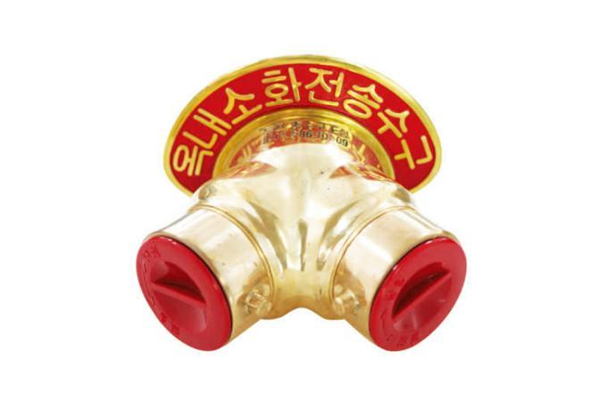 E Type Standpipe (Exposed 100mm)