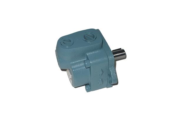 DS TYPE VANE PUMP