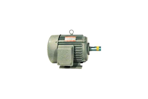 THREE PHASE INDUCTION MOTORS