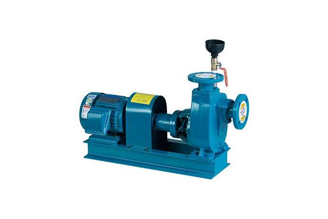 Self–Priming Pump