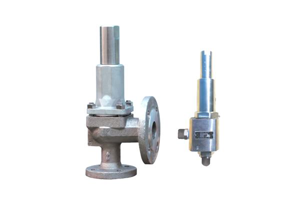 Cryogenic Safety Relief Valve (Conventional Type)