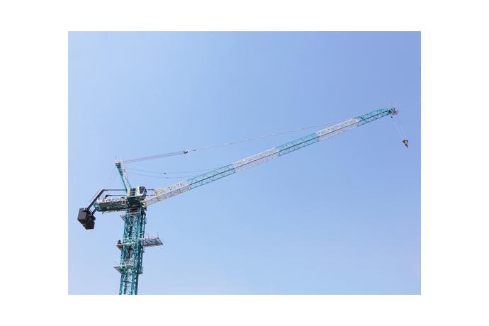Tower Crane (Luffing Type)