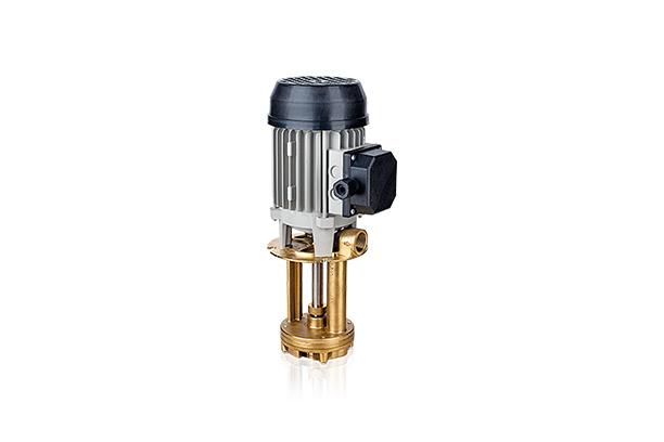 Vertical regenerative turbine electric pumps