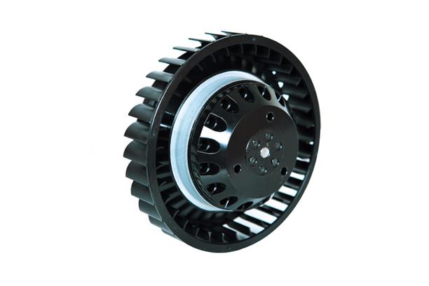 External Motor