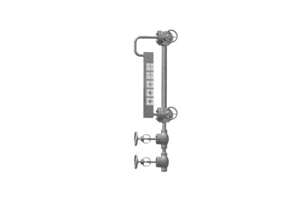 Multi-Port Type Two-Color Level Gauge