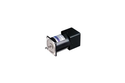 Speed Control Motor(SP) Leadwire Type (RE_60W)