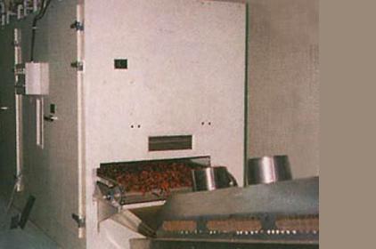 Tunnel Dryer